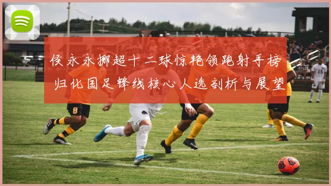 侯永永挪超十二球惊艳领跑射手榜 归化国足锋线核心人选剖析与展望